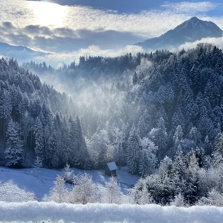 Wohnung Staufenblick und Wohnung Firstblick Dornbirn Exterior foto