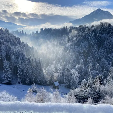 Wohnung Staufenblick und Wohnung Firstblick Dornbirn Exterior foto