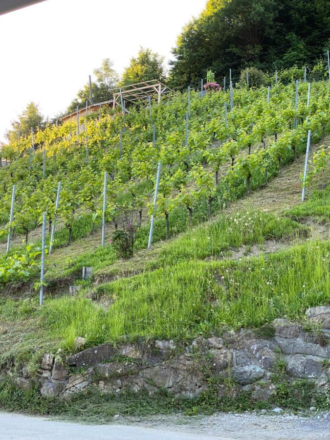 Staufenblick Und Firstblick