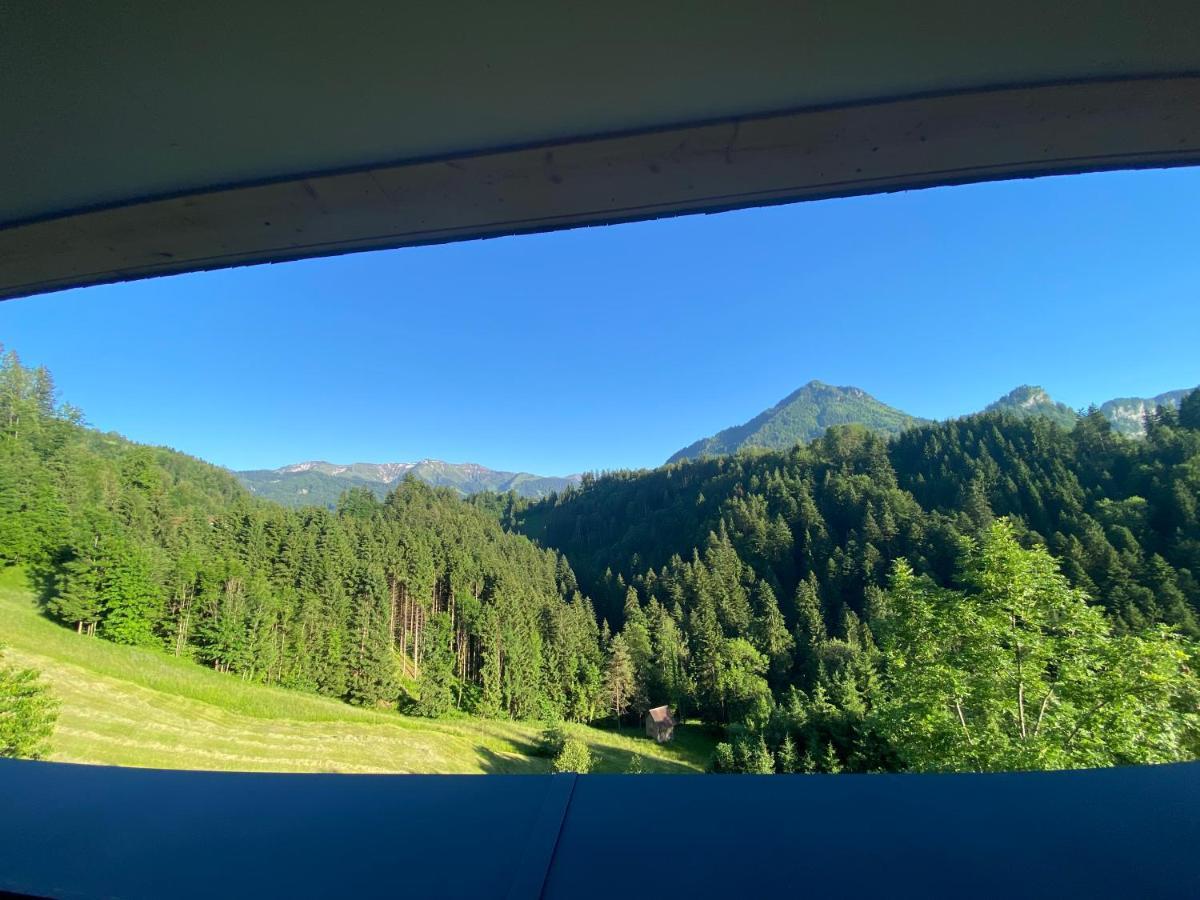Staufenblick Und Firstblick Apartment *