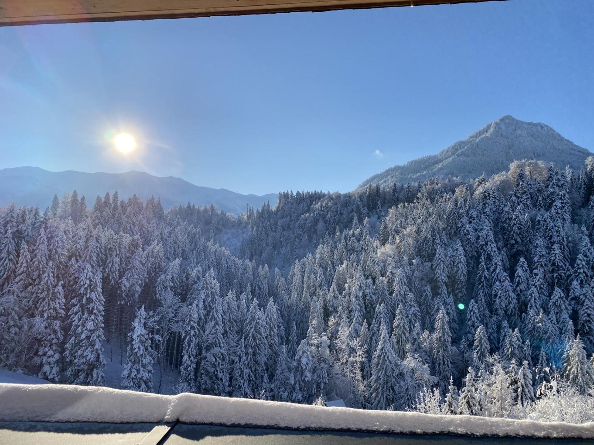 Staufenblick Und Firstblick Apartment Dornbirn