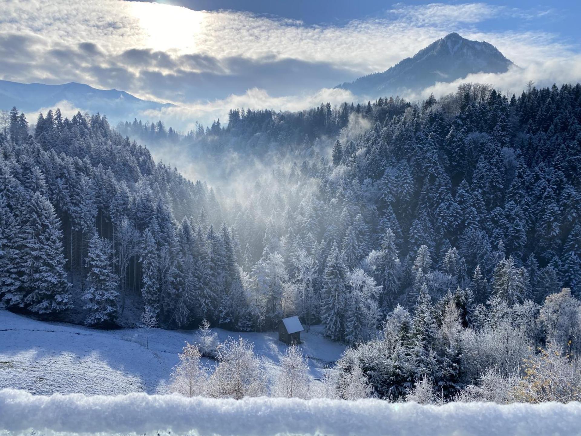 Staufenblick Und Firstblick * Dornbirn