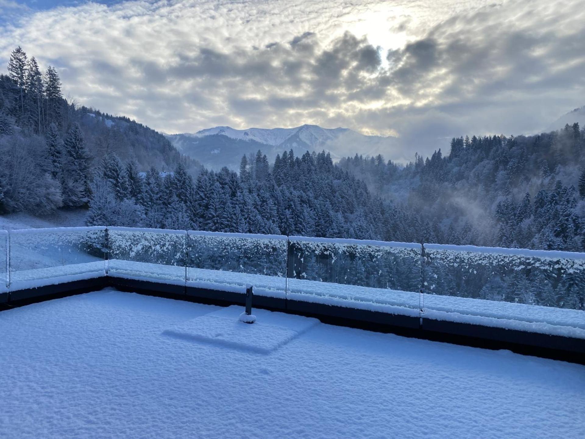 Staufenblick Und Firstblick Dornbirn