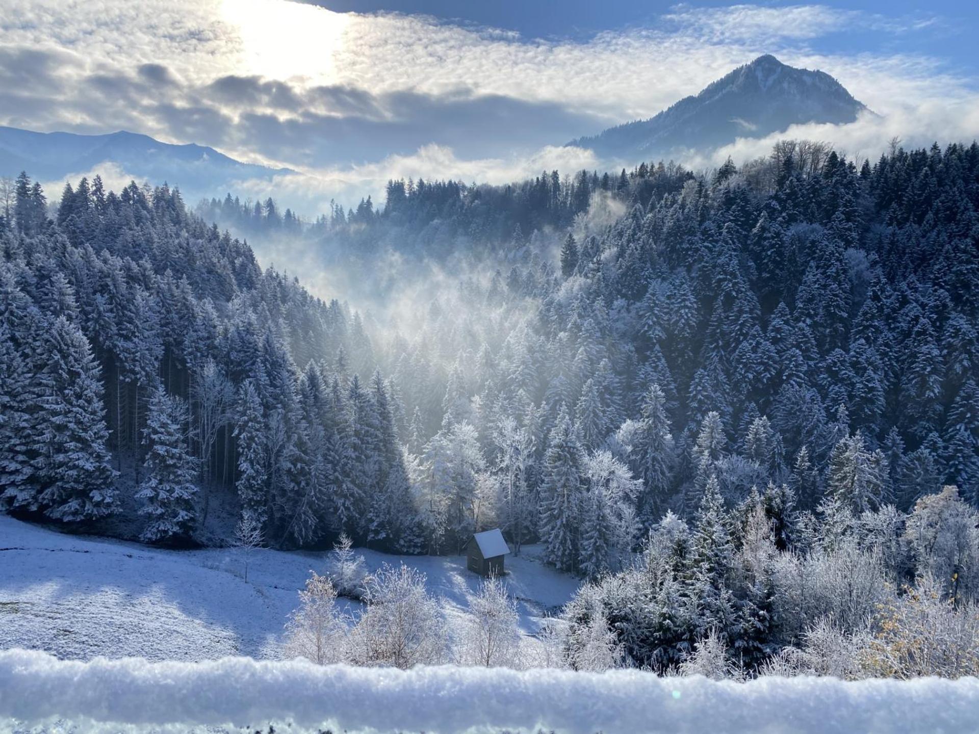 Staufenblick Und Firstblick *