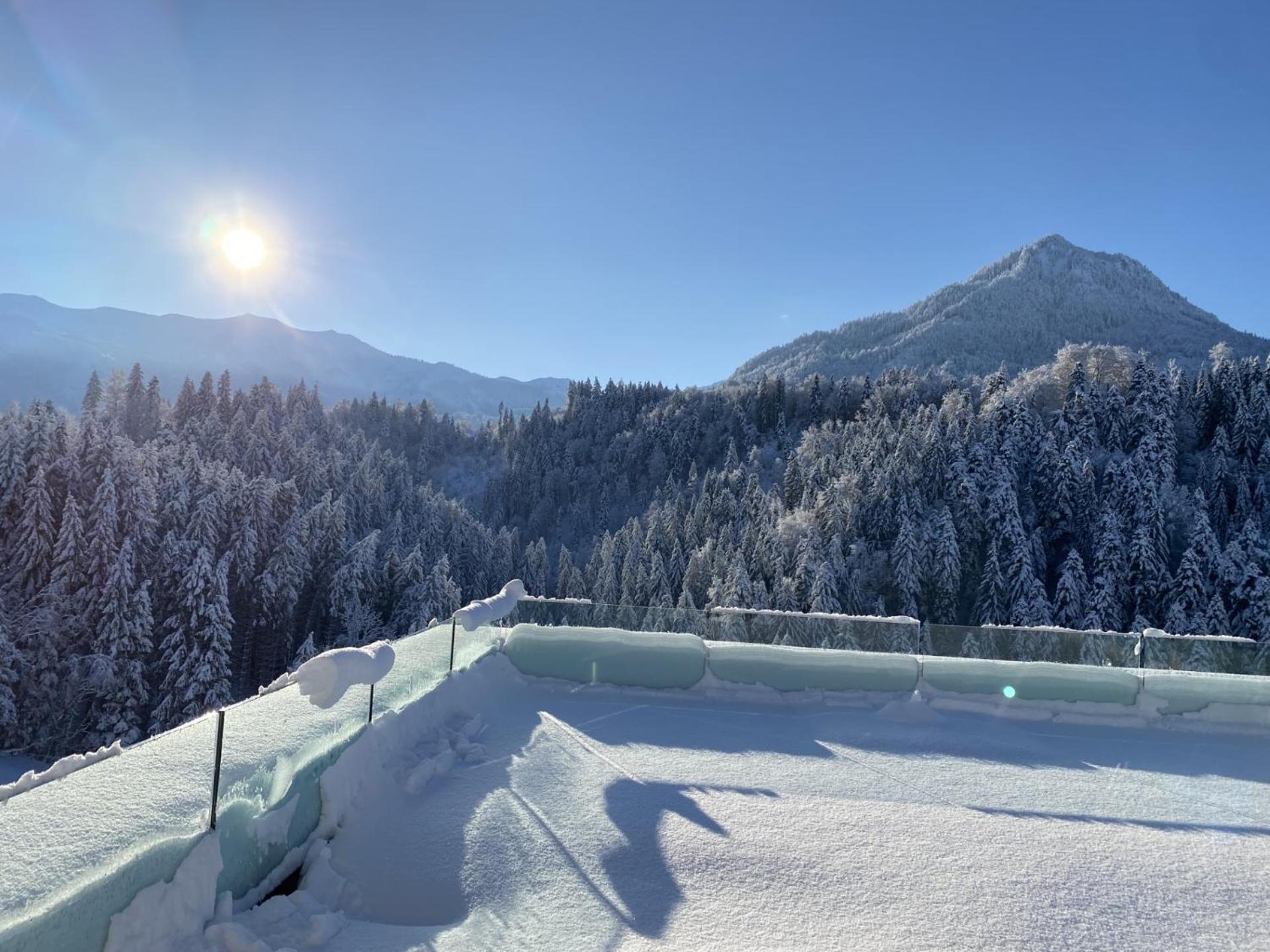 Apartment Staufenblick Und Firstblick Dornbirn